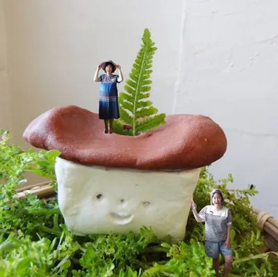 荒島彡彡，毛利嶼