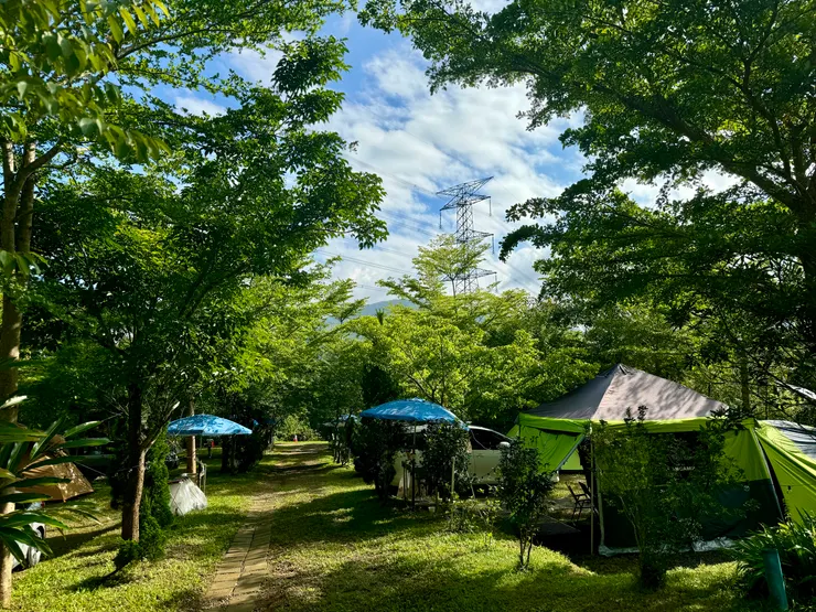 ▲ 營區內主步道的兩側實拍