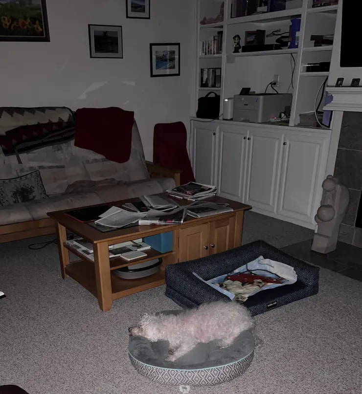 這是一早的照片，我到樓下的時候Benny還在睡，選平常晚上睡慣的床睡。