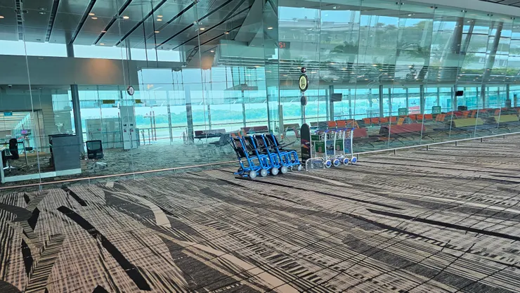 老爸說他不喜歡新加坡樟宜機場第三航廈的這個地毯花色!