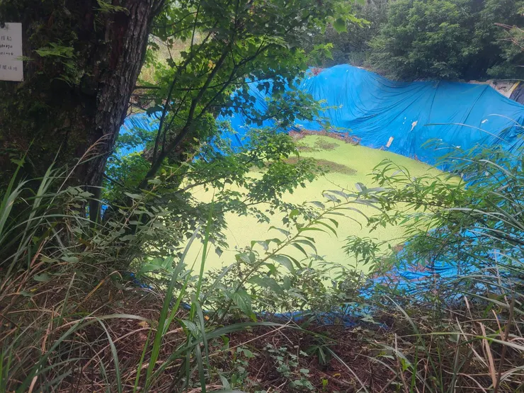 大水池