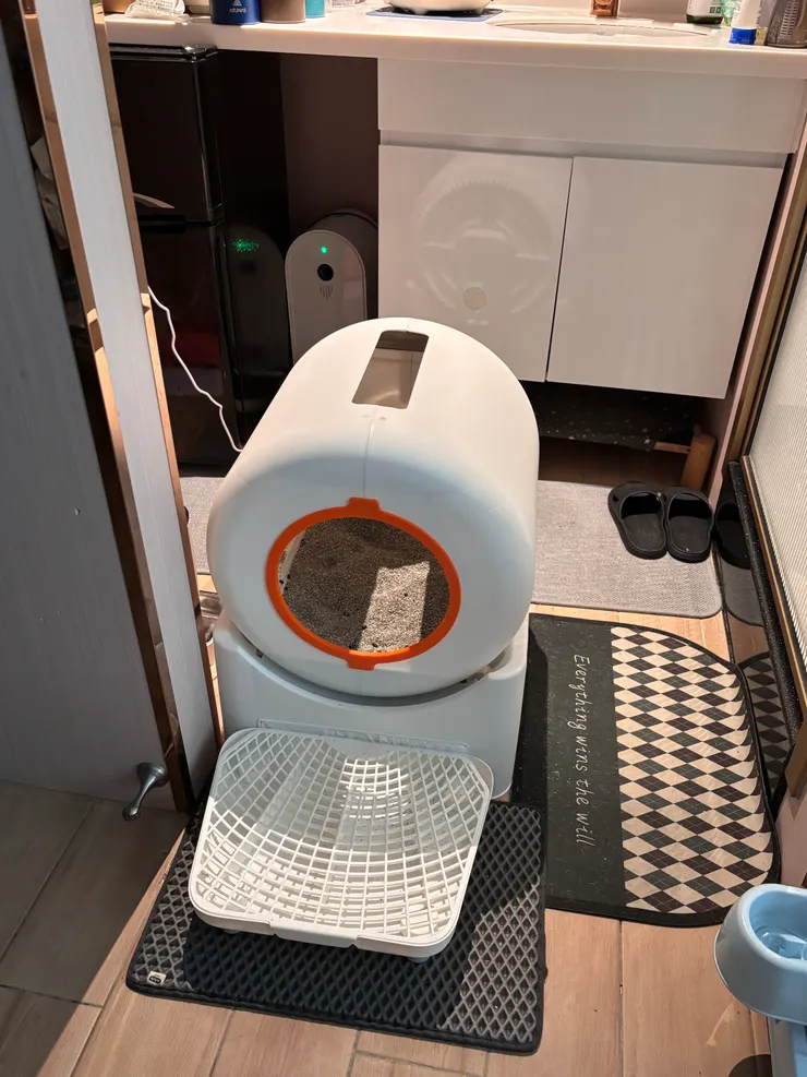 貓咪專屬廁所