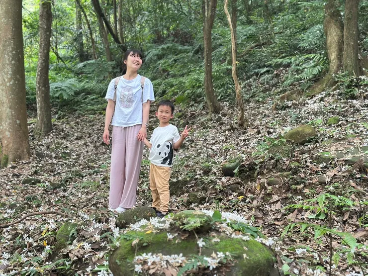 原本以為下雨會看不到，結果剛好被打落滿地，滿滿五月雪超夢幻
