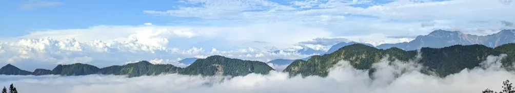 安醫師的日記的沙龍