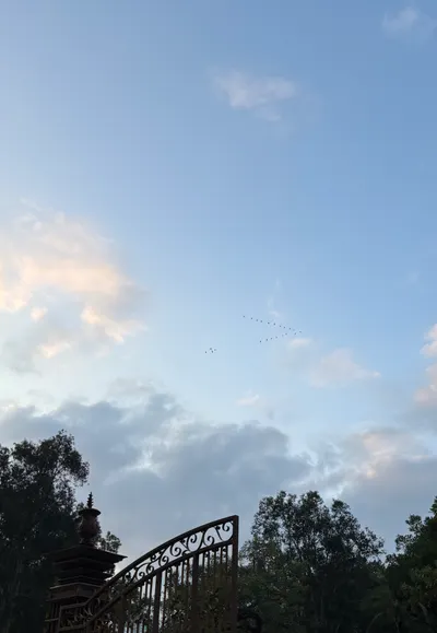 家有雙子與獅子