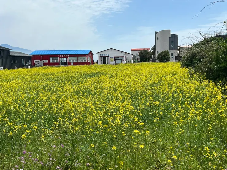 加坡島行政中心區就在前方，有免費廁所可使用。