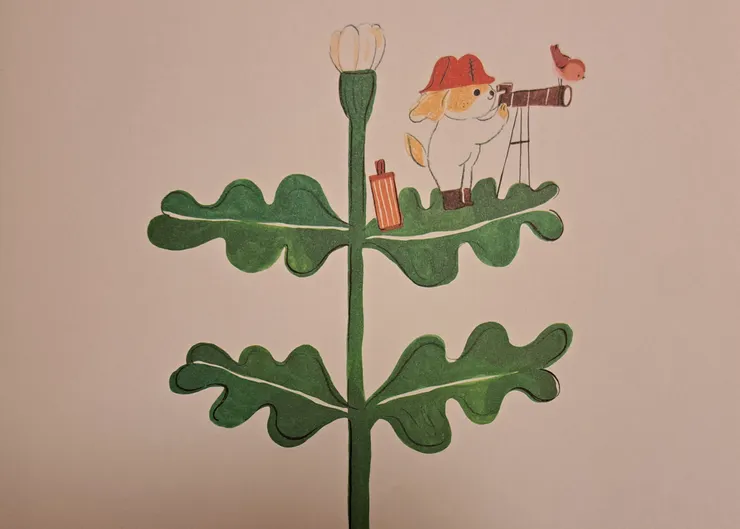 精心設計的扉頁