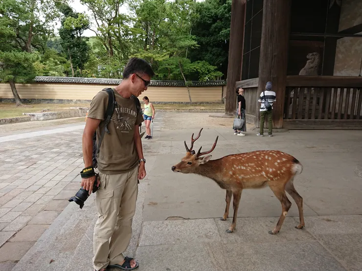 看著看著也好可愛