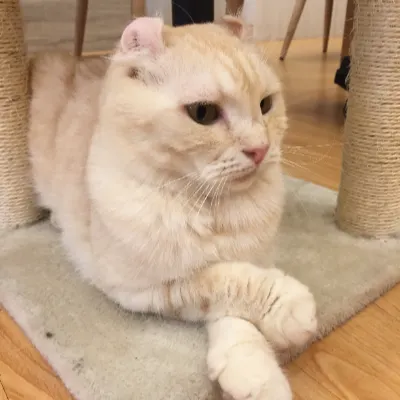 Kelly通勤生活觀察日記的沙龍