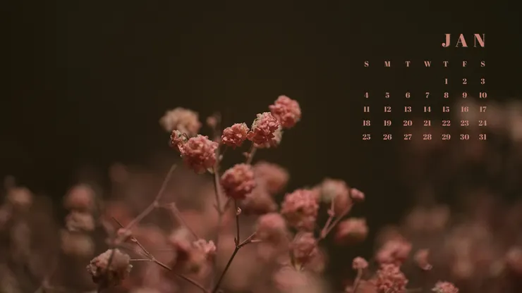 202601電腦桌布 滿天星