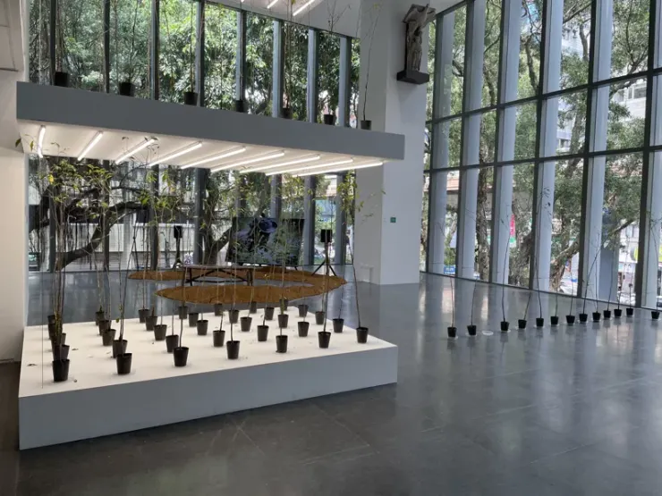 〈直立優勢性〉。圖片來源：琅琅悅讀。