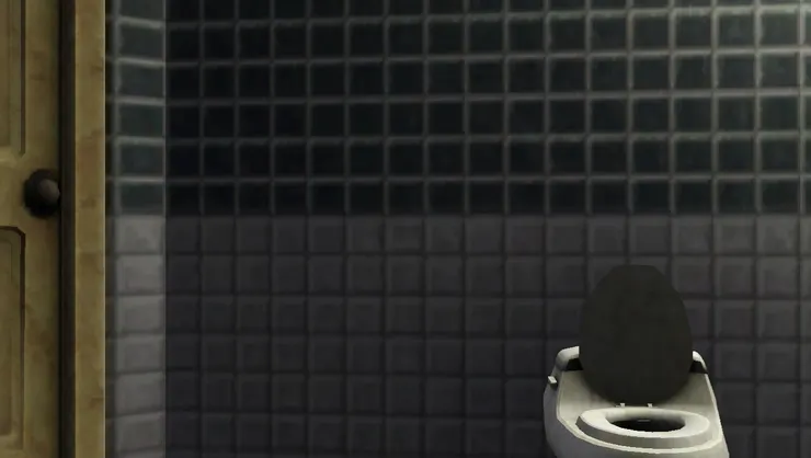 最快進來的可以用馬桶!