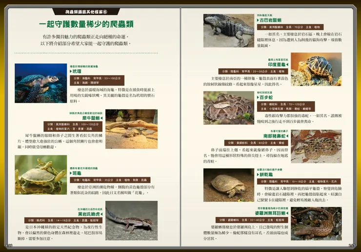 瀕臨絕種的物種介紹｜最強戰鬥6 危險爬蟲類 最強王者大戰圖鑑｜小角落文化