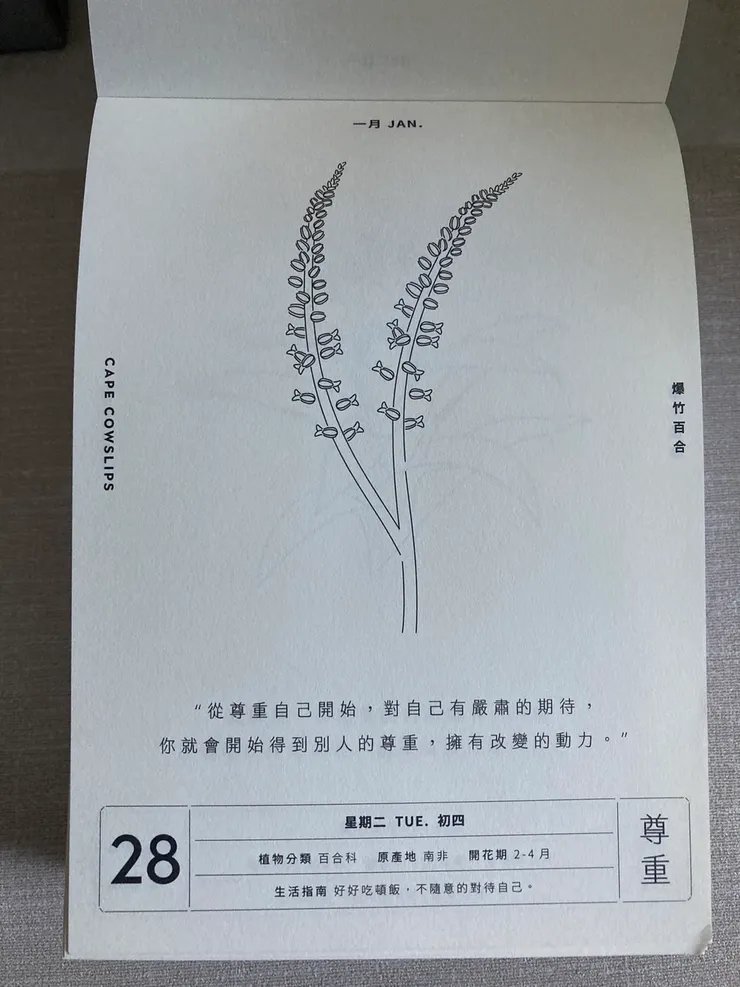 看到喜歡的植物或文字可以裱框展示也不錯！