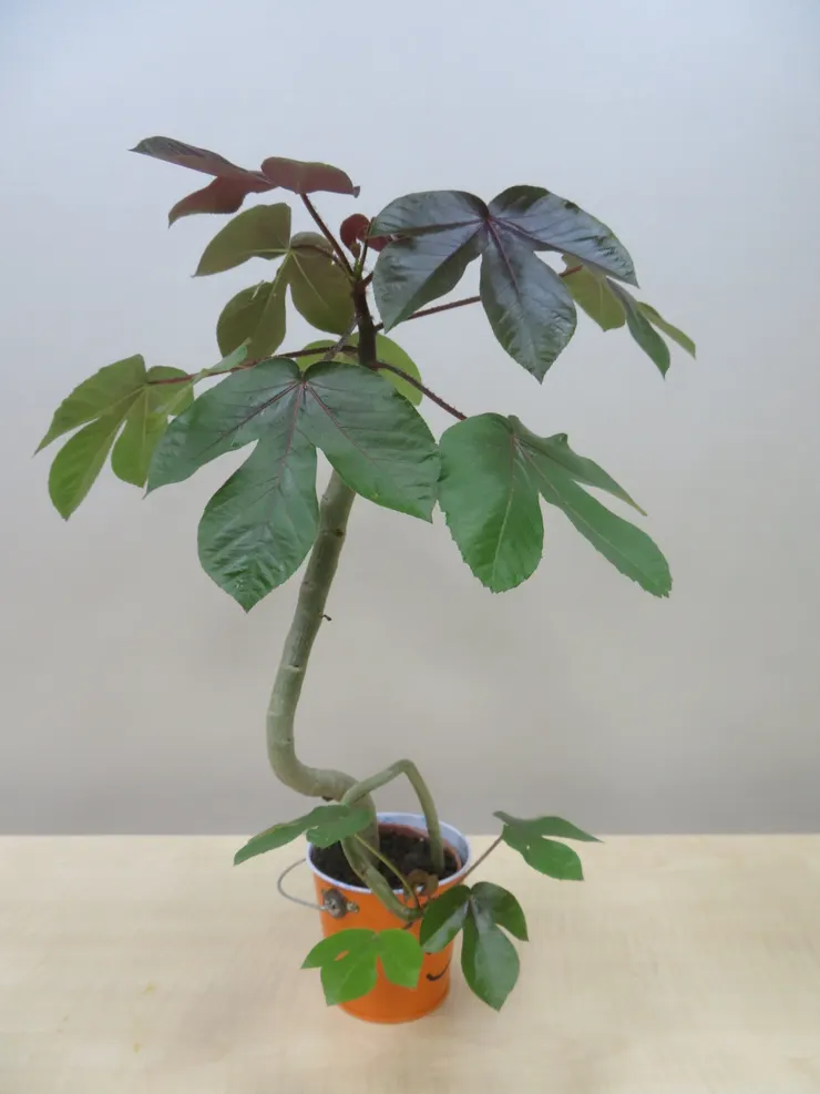 新莊農會113.05.13