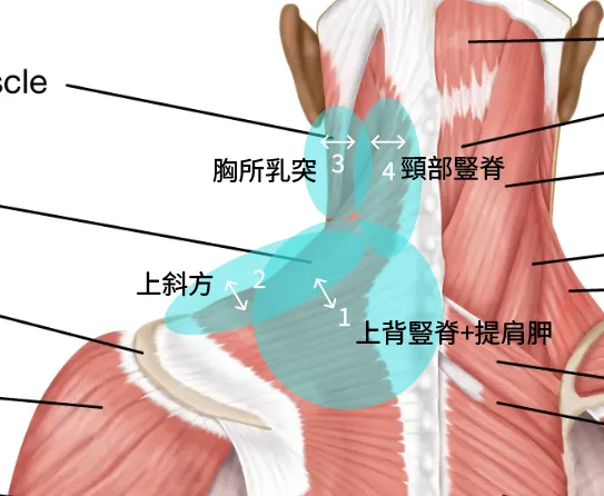 只粗略記按哪和方向的筆記 !