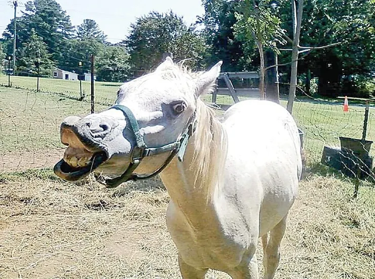 圖片取決網路新聞,非本故事主人翁
