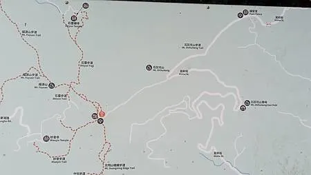 [新北美食]攻頂眺望鶯桃微笑山線、吃一碗百年大榕樹豆花，來一