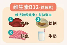鈷胺素（B12）：神經系統的守護天使(從這些食物可以攝取到!!!)