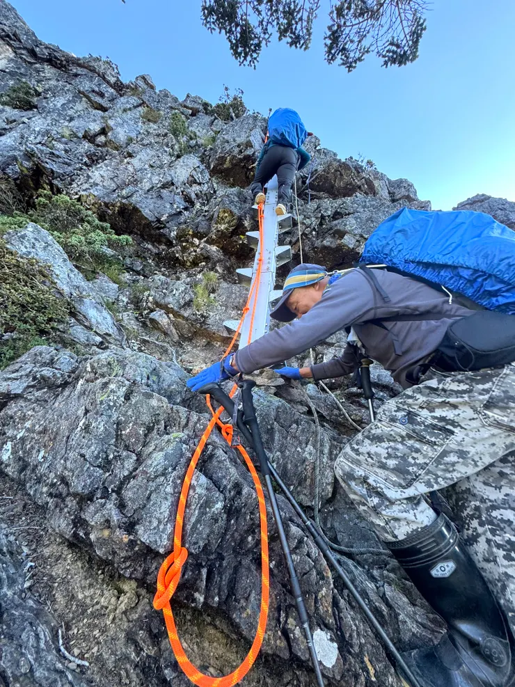 鼎鼎大名的鯊魚劍