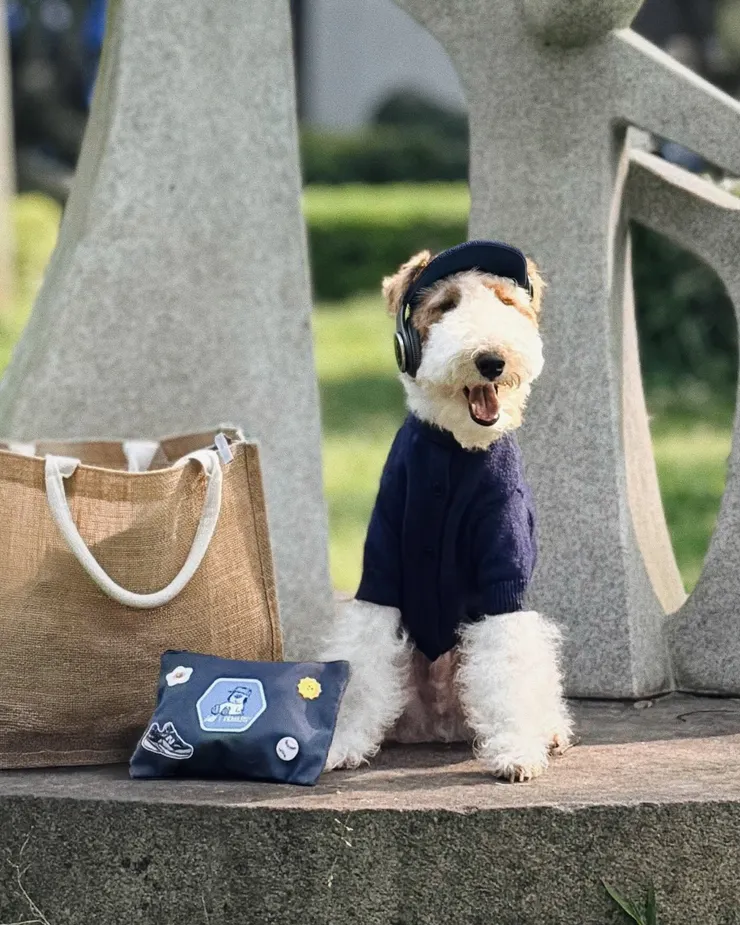 女網友參照布章的史奴比圖案，運用類似小配件將狗狗打扮成布章中的萌寵模樣。圖/讀者提供