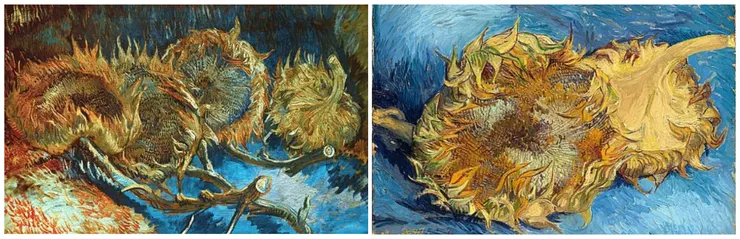早在巴黎時期,梵谷就對向日葵產生濃厚的興趣。(左)四朵向日葵,1887,荷蘭 庫勒慕勒博物館。(右)向日葵,1887, 美國 紐約大都會美術館。