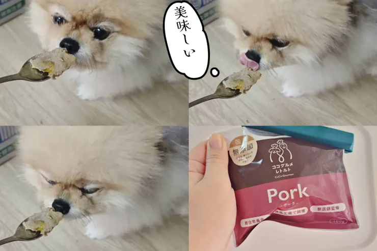 布咘：窩還年輕，只是挑嘴