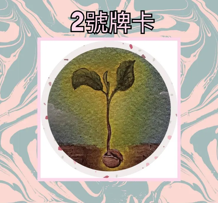 2號牌卡