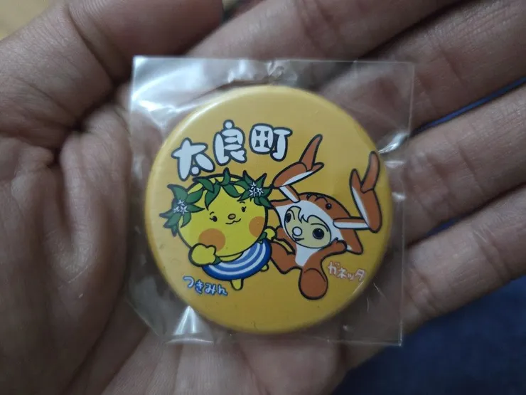 太良町的胸針