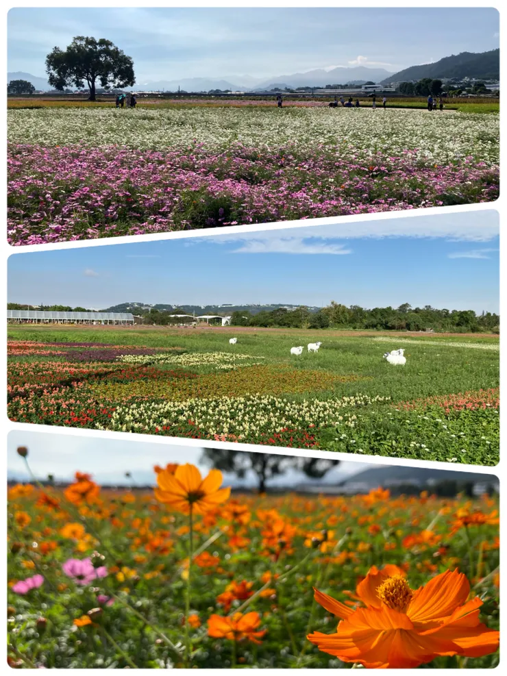 前幾週天氣非常好!豔陽高照!
