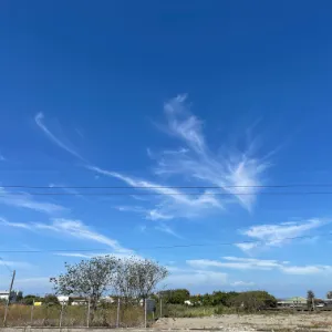 多吸🐸多健康的沙龍