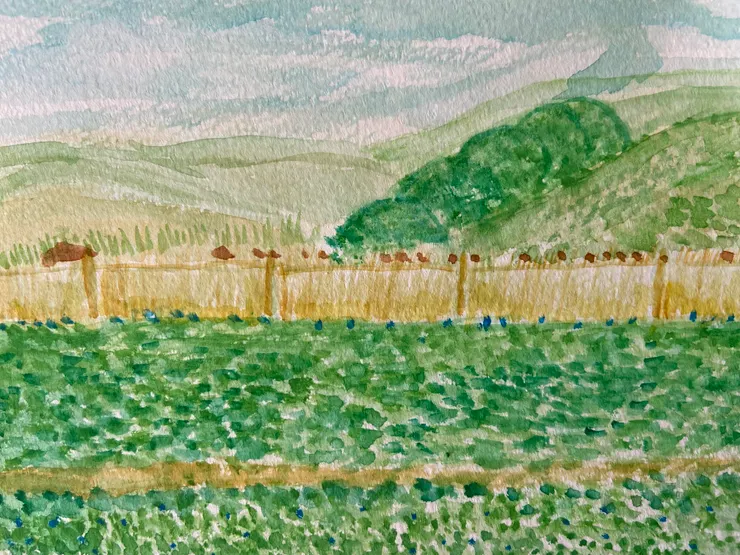 季節有限定,生活有了更好期盼。