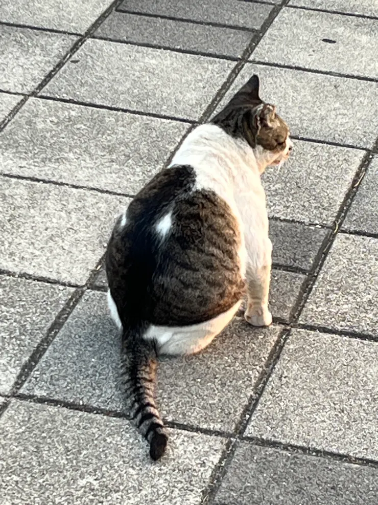 頭前溪河濱公園