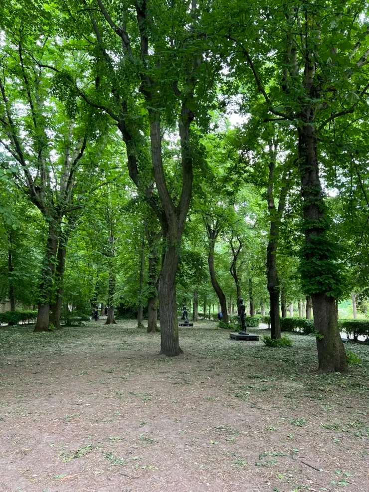 The sculpture garden at the Rodin Museum