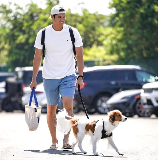 大谷翔平與Decoy