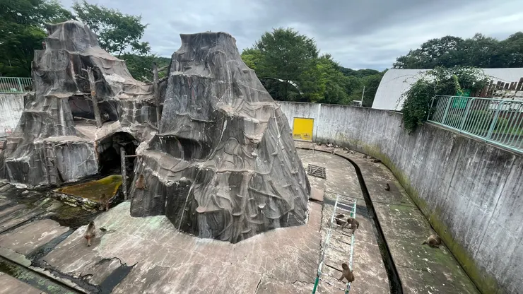 彷彿小型社會觀察室。