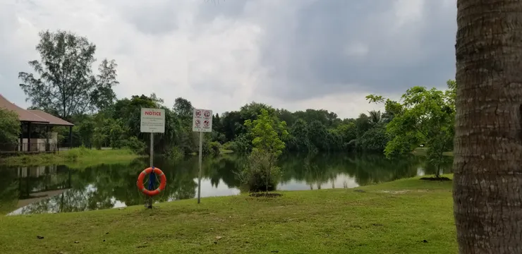 湖面很平靜