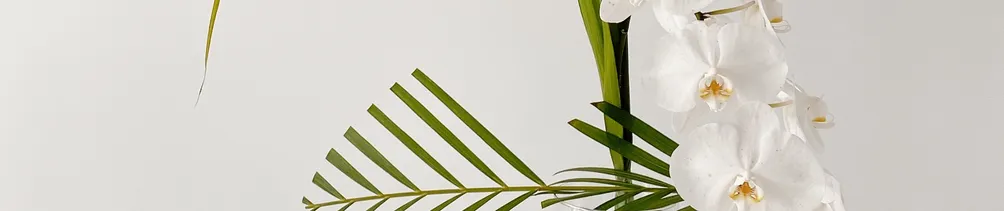 個人生活美學要求