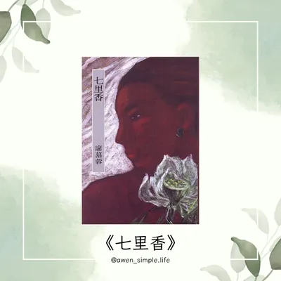 《閱讀心得》七里香
