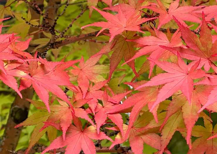 孩子離巢後的歲月人生，需要精彩的生活來點綴，學習新鮮事物和面對新挑戰變得重要起來！（圖by Vina)