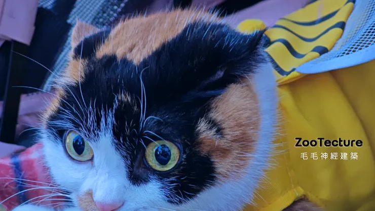 歡迎來到全台首座「雙引擎」養育實驗室PetLogic 毛毛邏輯/ 軟體區及ZooTecture 毛毛神經建築 /硬體區