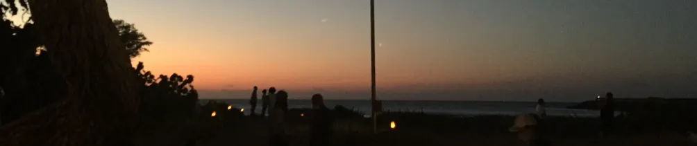 十月的花盛開🌷