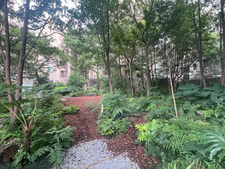 複森林，混合搭配小喬木、灌木、草本植物、藤蔓植物等，仿效天然森林多層次複雜結構的樣貌，其中擺放人類生活使用的桌椅，在植物世界與人類文明之間達到和諧的平衡。