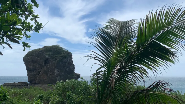 還是脫離不了風大的宿命。