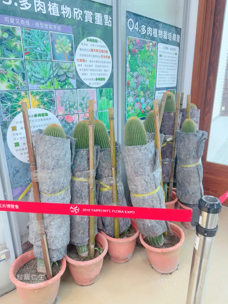 被捆綁放在冷氣房的仙人掌們？｜台北典藏植物園
