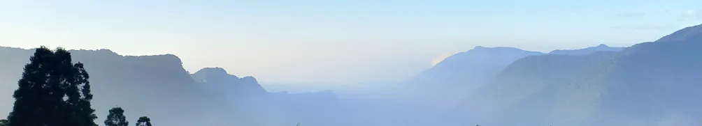 山林系女子的沙龍