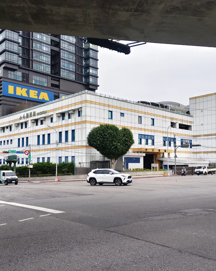 愛心樹 • 遍人間