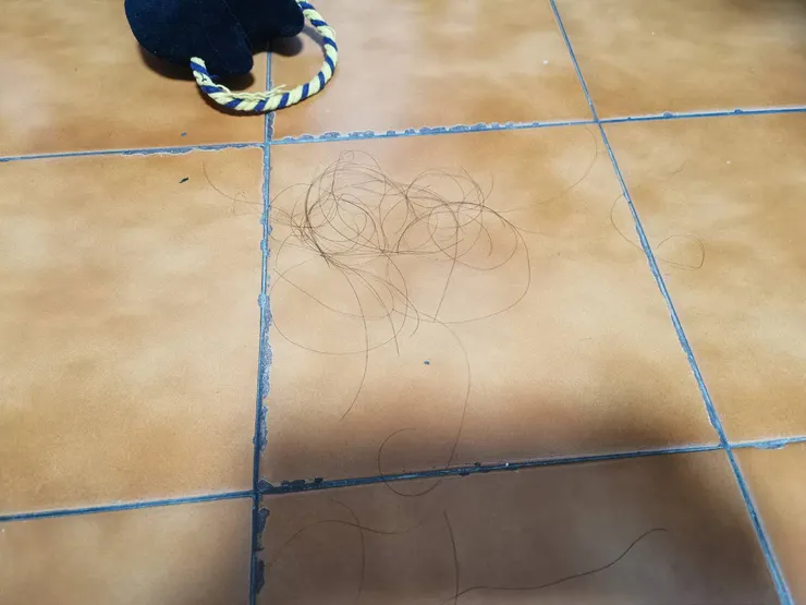 大概半天就會累積這麼多!!