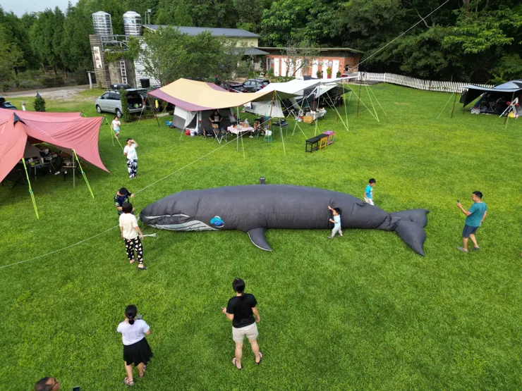 大風箏準備，照片露友提供。