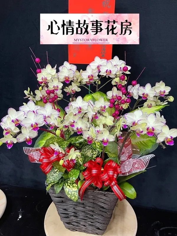 #台南花店 #鮮花 #蘭花 #玫瑰花 #永生花 #多肉植物 #盆栽 #花束 #花籃 #心情故事花房 